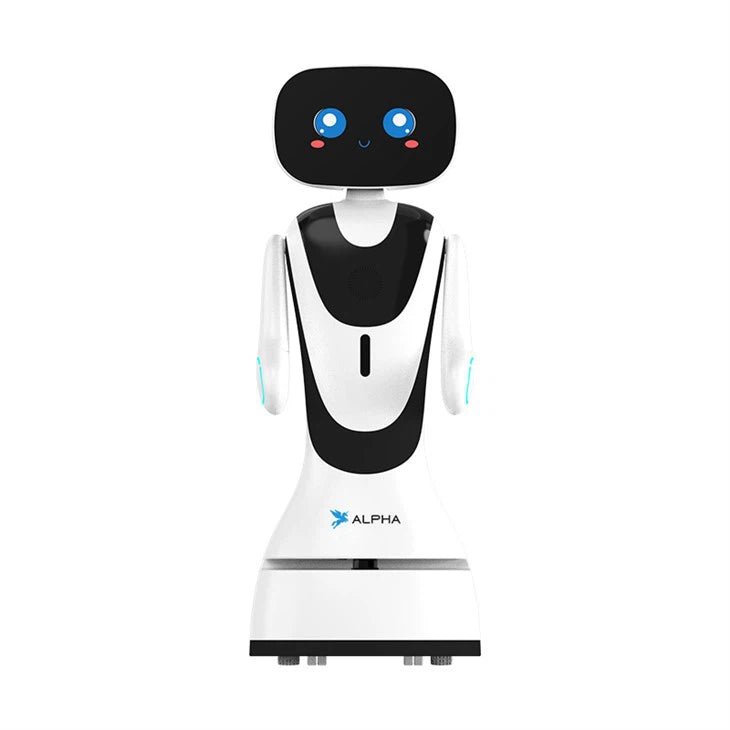 Alpha Robotics Hotel Reception Robot Timo – 13.3-inch Touchscreen Multilingual Hospitality Assistant
